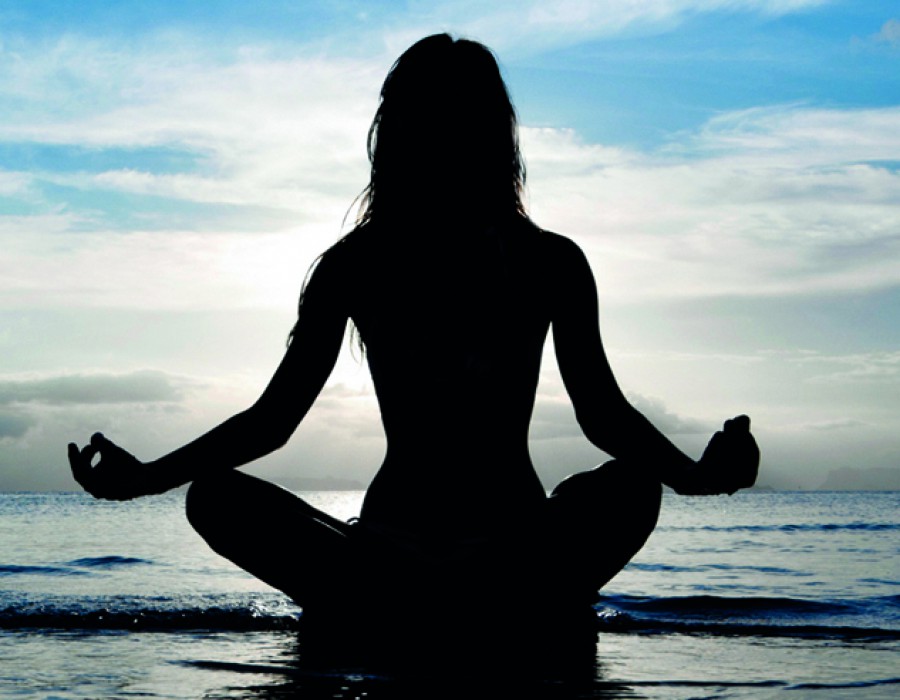 SeaCell™ | Faser mit Algen